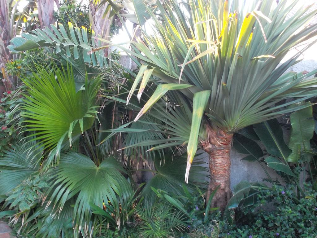 At Sta-Plus Guest House Port Elizabeth Exterior foto