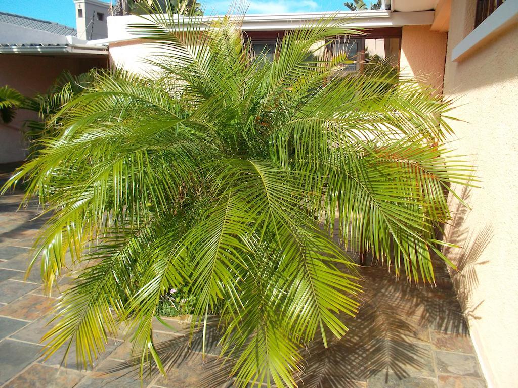 At Sta-Plus Guest House Port Elizabeth Exterior foto